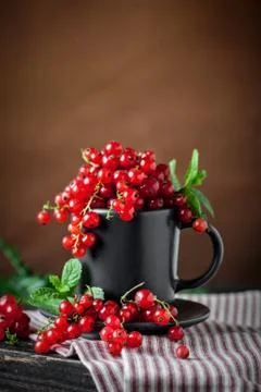 Fresh red currants on dark rustic wooden table. Background with copy space Stock Photos
