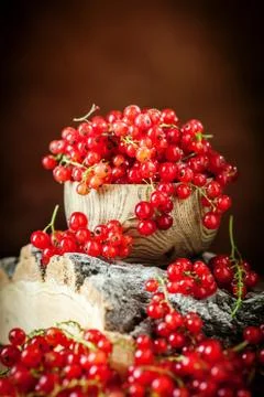 Fresh red currants on dark rustic wooden table. Background with copy space Foto stock