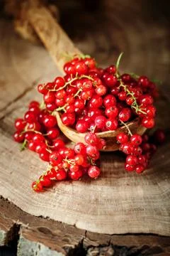 Fresh red currants on dark rustic wooden table. Background with copy space Foto stock