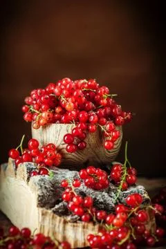 Fresh red currants on dark rustic wooden table. Background with copy space Foto stock