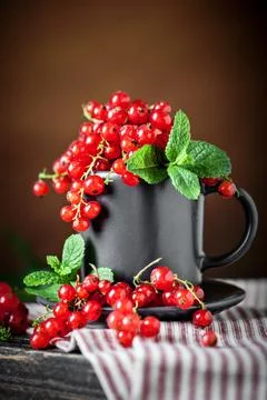 Fresh red currants on dark rustic wooden table. Background with copy space Stock Photos