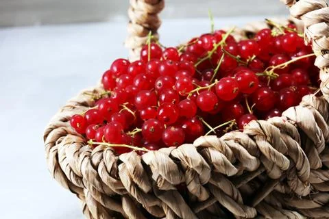 Fresh red currants on light rustic table. Healthy summer fruits. Stock Photos