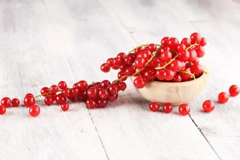 Fresh red currants on light rustic table. Healthy summer fruits. Stock Photos
