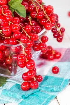 Fresh red currants Stock Photos