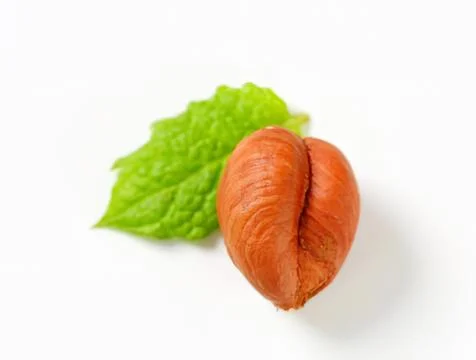 Fresh red date with green leaf on plain background Stock Photos