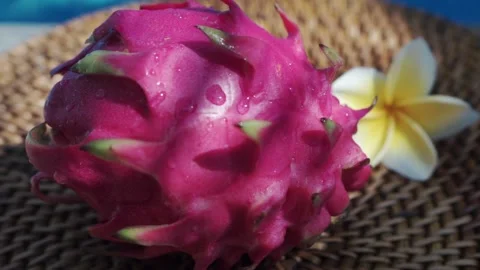 Fresh red dragon fruit with drops of clear water Stock Footage 154483179
