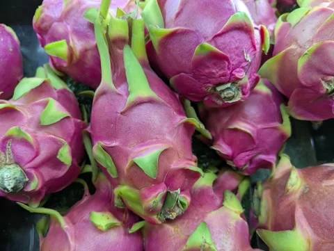 Fresh Red Dragon Fruit (Pitaya) Piled at Local Market - Close Up Stock Footage 331136574