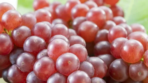 Fresh red grape bunch close up with glossy surface, zoom pan Stock Footage 337670984