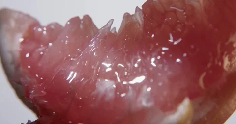 Fresh red grapefruit slice close up. Stock Footage 330691636