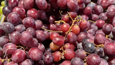 Fresh Red Grapes in Crates Stock Footage 345932049