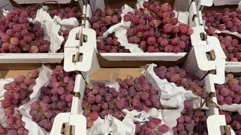 Fresh Red Grapes Packed in White Paper Cartons Stock Footage 345932083