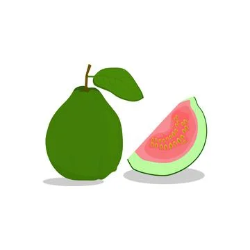 Fresh red guava fruit vector Stock Illustration