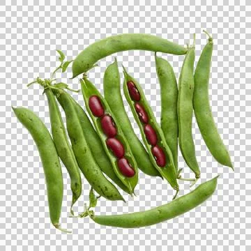 Fresh red kidney beans inside green pods arranged on transparent background. Stock-Fotos