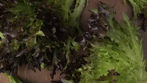 Fresh red leaf lettuce rotating on a wooden surface Vidéo 346739612