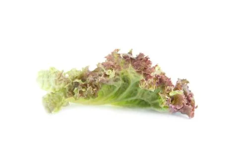 Fresh red lettuce leaf side view Foto stock