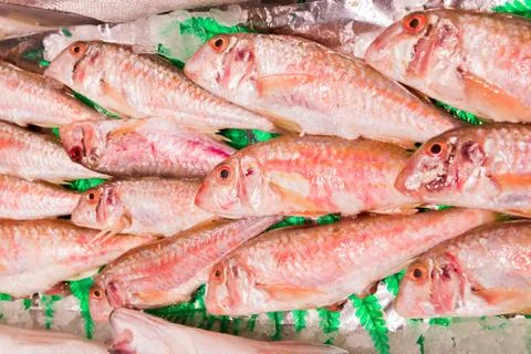 Fresh red mullet Foto stock