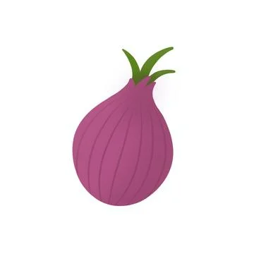 Fresh Red Onion Bulb Vegetable Illustration イラスト素材