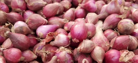 Fresh red onions background Stock Footage 292286425