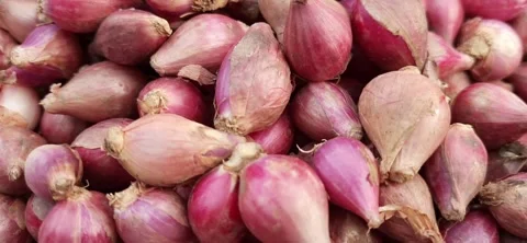 Fresh red onions background Stock Footage 292286432