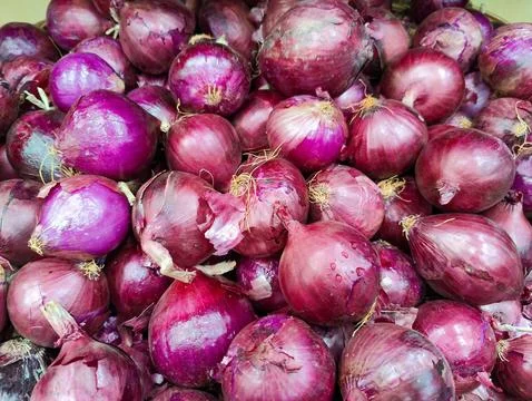 Fresh red onions Stock Photos
