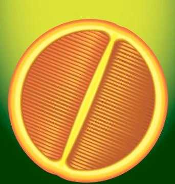 Fresh red orange in longitudinal section on a green background Stock Illustration