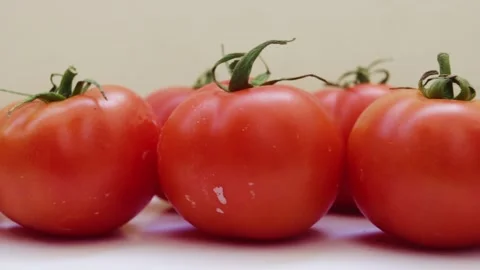 Fresh red Organic Tomatoes Close up shot camera pan right to left slow motion Stock Footage 258151284