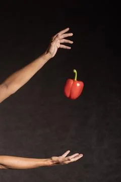 Fresh red pepper falling between two female hands Stock Photos