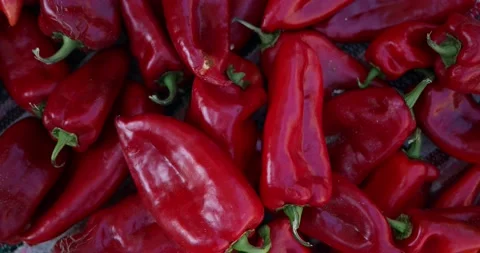 Fresh red pepper ready for making ajvar in the late summer season Stock Footage 207722936