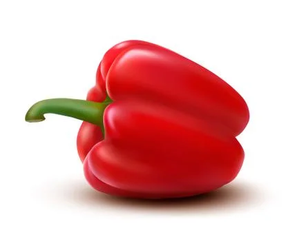 Fresh red pepper. vector Stock Illustration