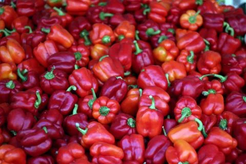 Fresh Red Peppers 写真素材