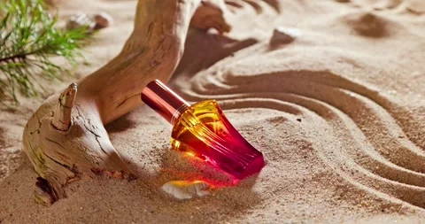 Fresh red perfume in environment dunes and pines. 動画素材 331790584