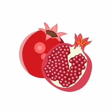 Fresh Red Pomegranate Fruit Vector Illustration: Minimalist Flat Design of Whole Stock Illustration