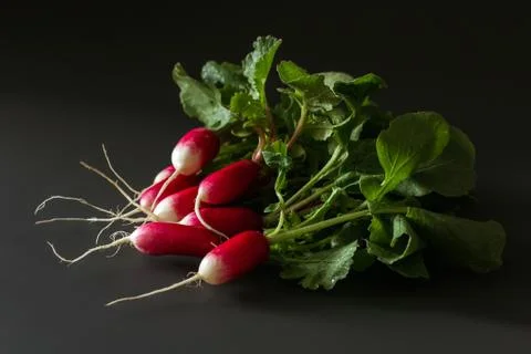 Fresh red radish on a dark table. Growing organic vegetables. A bunch of raw Stock Photos