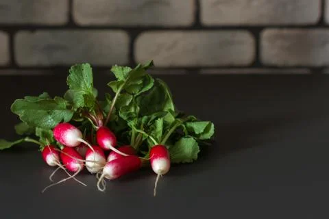 Fresh red radish on a dark table. Growing organic vegetables. A bunch of raw Stock Photos