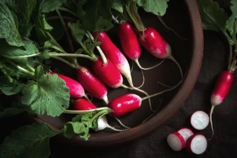 Fresh red radish on a dark table. Growing organic vegetables. A bunch of raw Stock Photos