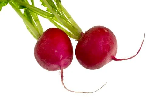 Fresh Red Radish Stock Photos