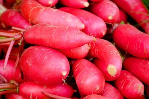 Fresh red radish Stock Photos
