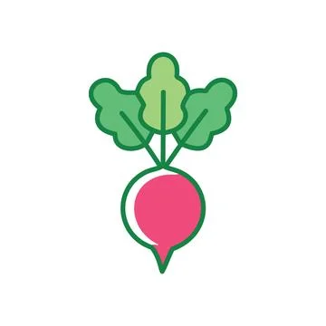 Fresh red radish. Single red radish with green leaves, representing growth .. Stock Illustration
