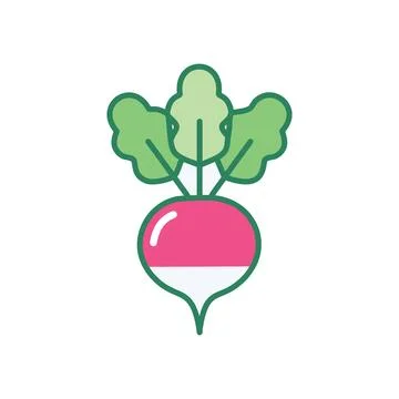 Fresh red radish. Single red radish with green leaves, symbolizing freshnes.. Stock Illustration
