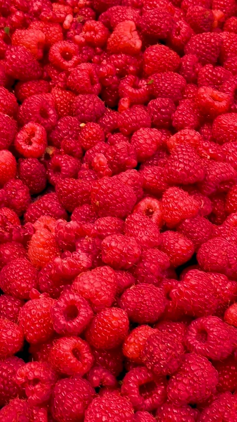 Fresh red raspberries in boxes. Collection of red raspberries in boxes. Stock Footage 335145356