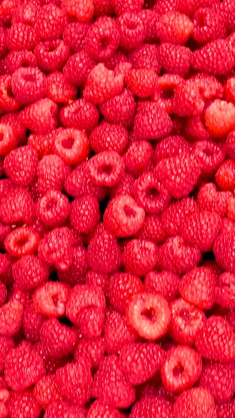 Fresh red raspberries in boxes. Collection of red raspberries in boxes. Video stock 335145362