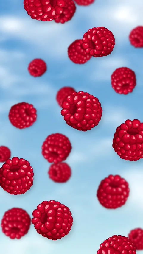 Fresh Red Raspberries Falling Through a Bright Blue Sky Stock Footage 343830768