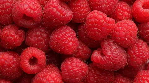 Fresh red raspberries, fruit background Stock Footage 32743798