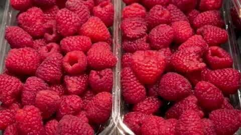 Fresh red raspberries in a transparent container for sale on the supermarket Stock Footage 316465247