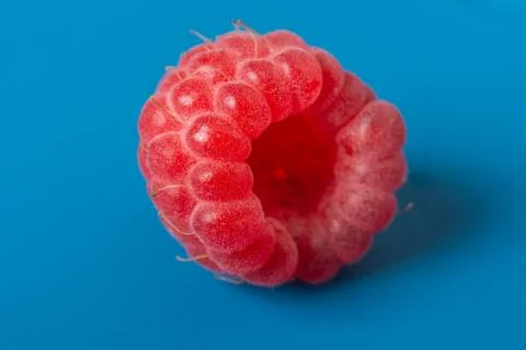 Fresh red raspberry on blue background. Close Up. Foto stock