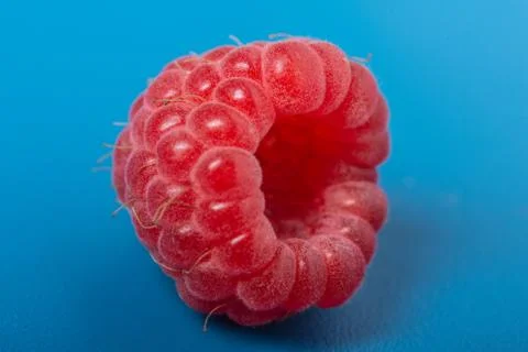 Fresh red raspberry on blue background juicy. Close Up. Stock Photos
