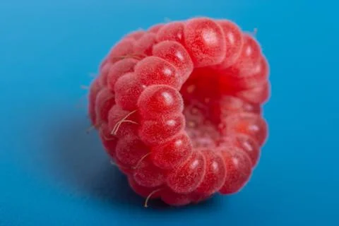 Fresh red raspberry on blue background juicy. Close Up. Stock Photos