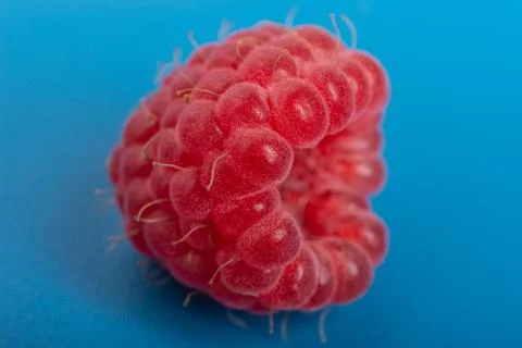 Fresh red raspberry on blue background juicy. Close Up. Foto stock