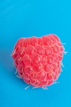 Fresh red raspberry on blue background juicy. Close Up. Foto stock