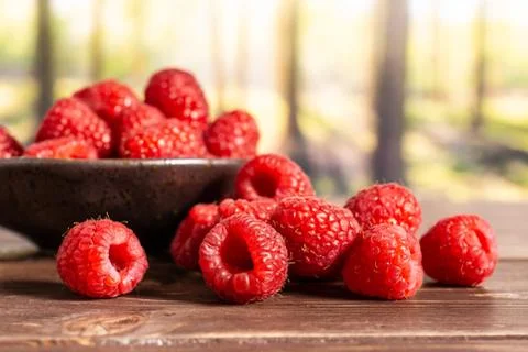 Fresh red raspberry with forest behind Stock Photos